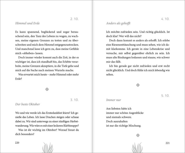 InsideView 2