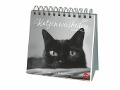 Wegler Katzen Weisheiten Premium-Postkartenkalender 2024. 53 Postkarten mit zauberhaften Katzenfotos und Zitaten in einem kleinen Kalender für Katzenfans. Zum Aufstellen. - 