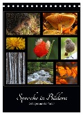 Sprache in Bildern - Collagen aus der Natur (Tischkalender 2024 DIN A5 hoch), CALVENDO Monatskalender - Ingrid Michel
