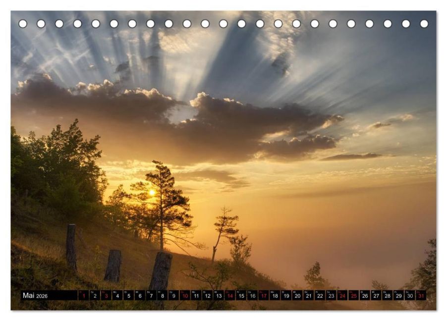 InsideView 10