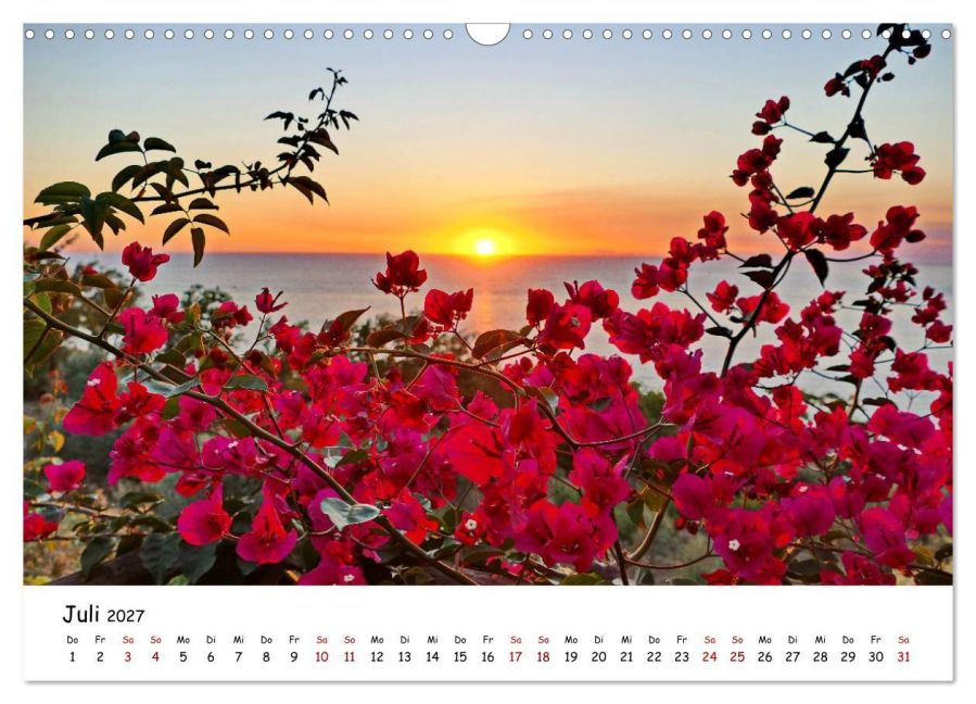 InsideView 12