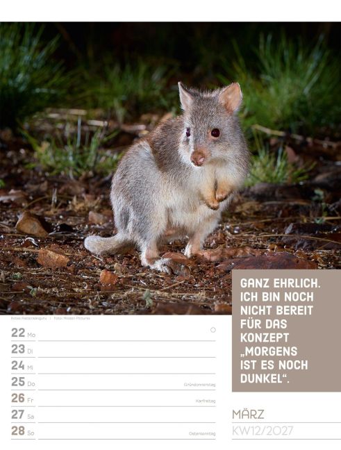 InsideView 16