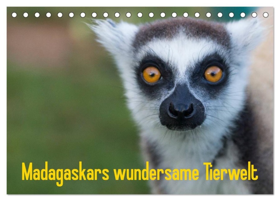 Madagaskars wundersame Tierwelt (Tischkalender 2027 DIN A5 quer), CALVENDO Monatskalender - Antje Hopfmann