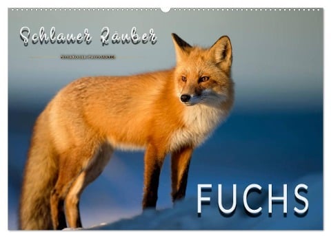 Fuchs - schlauer Räuber (Wandkalender 2025 DIN A2 quer), CALVENDO Monatskalender - Peter Roder