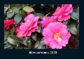 Blumenträume 2023 Fotokalender DIN A4 - Tobias Becker