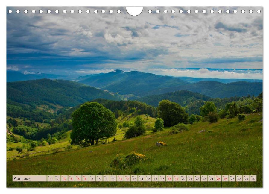 InsideView 9