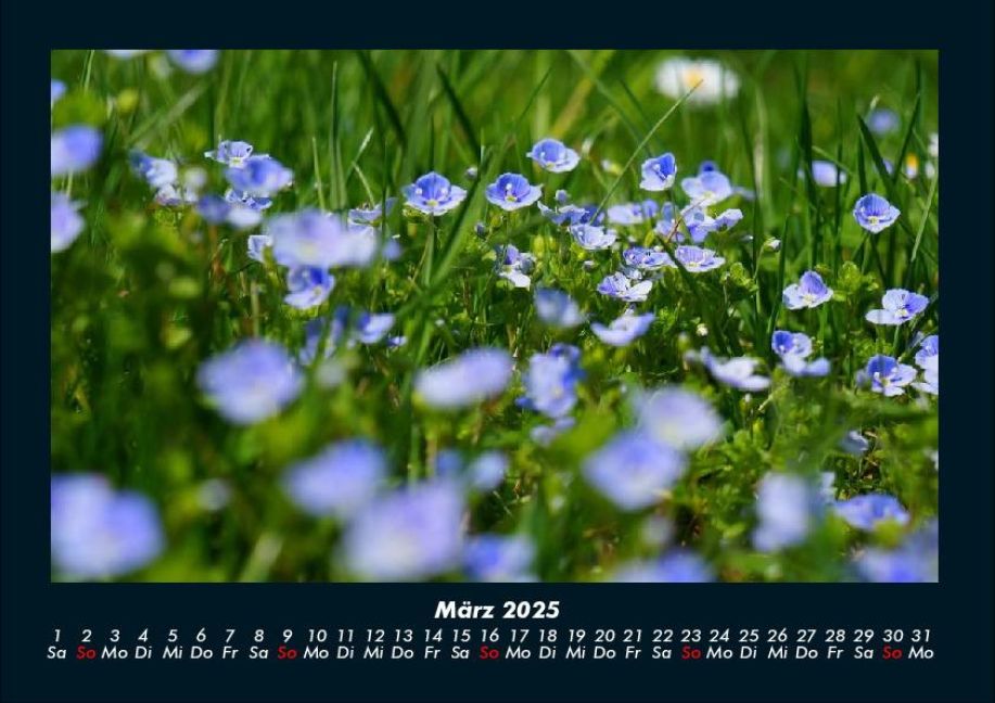 InsideView 7