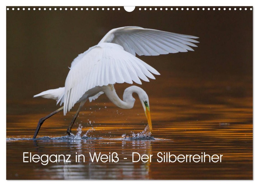 Eleganz in Weiß - Der Silberreiher (Wandkalender 2026 DIN A3 quer), CALVENDO Monatskalender - Wilfried Martin