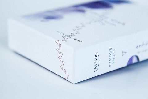 InsideView 6