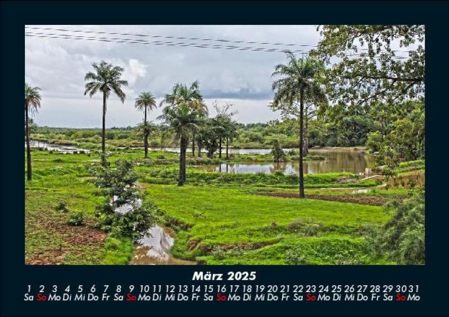 InsideView 7