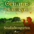Cover-Bild zum Titel 'Smaladrengurinn' von 'Grimmsbræður'