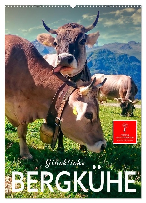 Glückliche Bergkühe (Wandkalender 2025 DIN A2 hoch), CALVENDO Monatskalender - Peter Roder