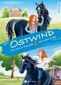 Cover-Bild zum Titel 'Ostwind - Erstleser Doppelband' von 'Thilo'