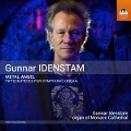 Cover-Bild zum Titel 'Metal Angel' von 'Gunnar Idenstam'