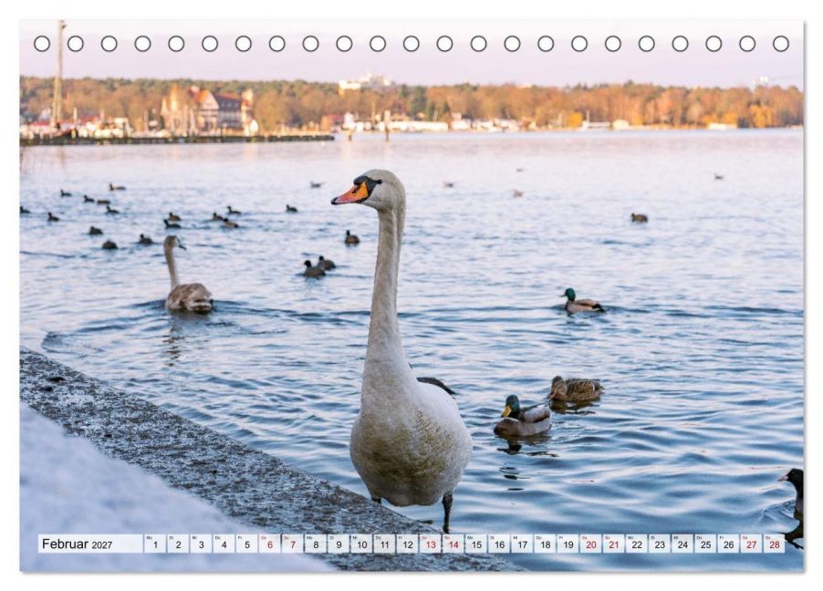 InsideView 7