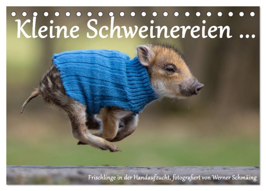 Kleine Schweinereien (Tischkalender 2026 DIN A5 quer), CALVENDO Monatskalender - Werner Schmäing