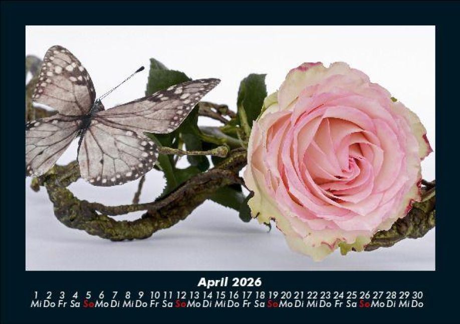 InsideView 8