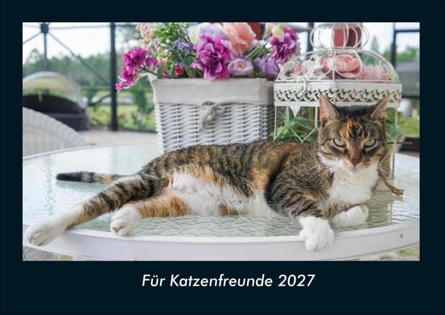 Für Katzenfreunde 2027 Fotokalender DIN A4 - Tobias Schmitt, Kevin Heber