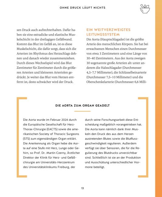InsideView 16