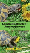 Cover-Bild zum Titel 'Landschildkröten-Futterpflanzen' von 'Ricarda Schramm'