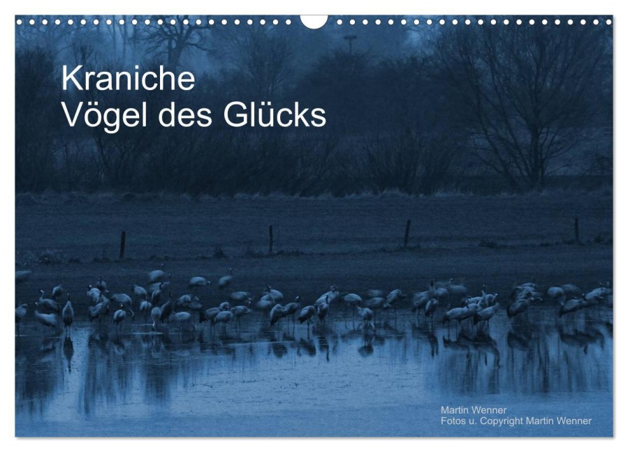 Kraniche (Wandkalender 2026 DIN A3 quer), CALVENDO Monatskalender - Martin Wenner