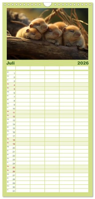 InsideView 12