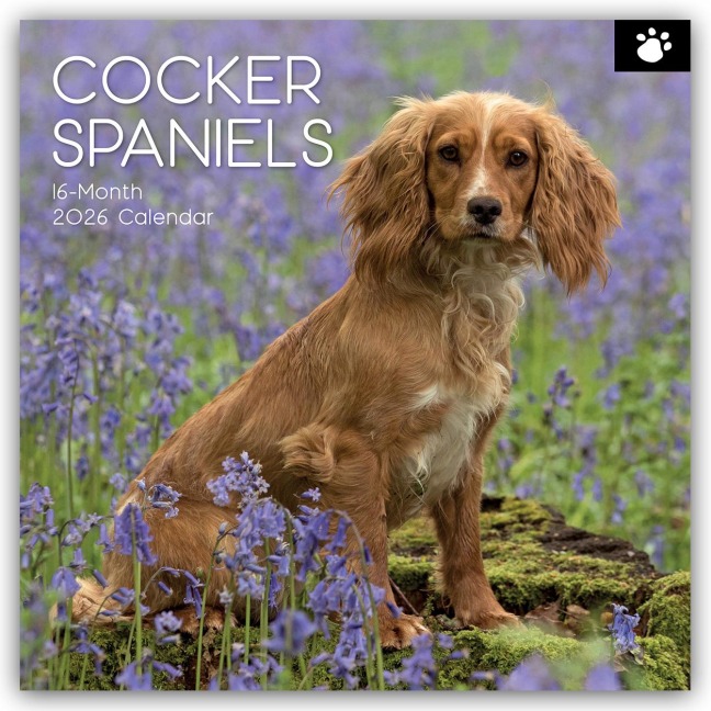 Cocker Spaniels 2026 - 16-Monatskalender - Gifted Stationery Co. Ltd