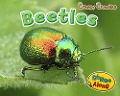 Beetles - Rebecca Rissman