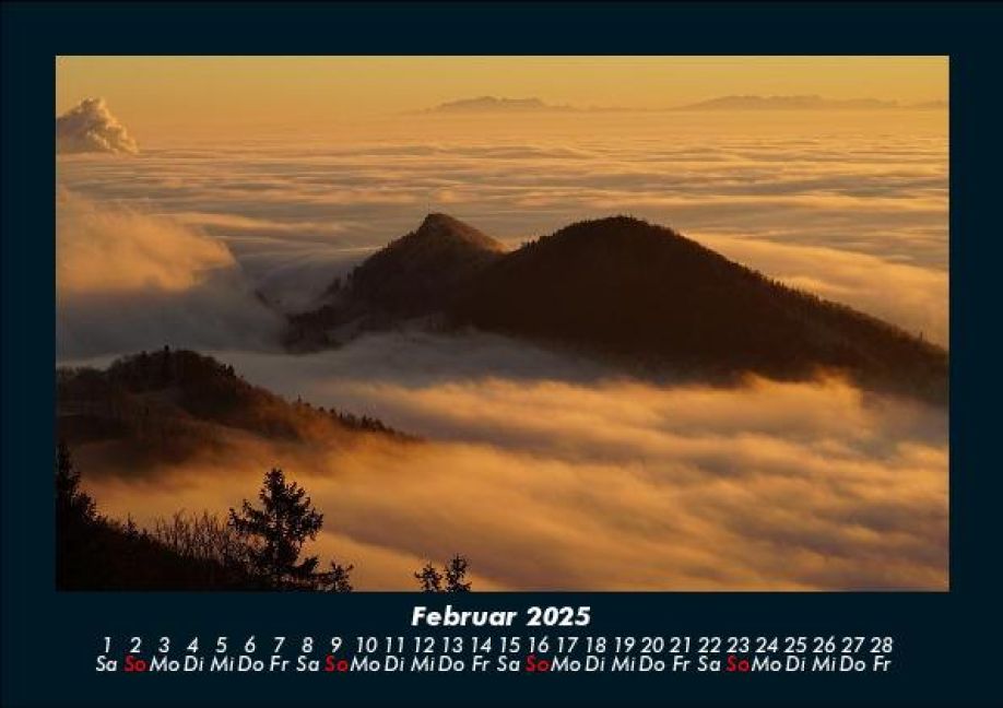 InsideView 6