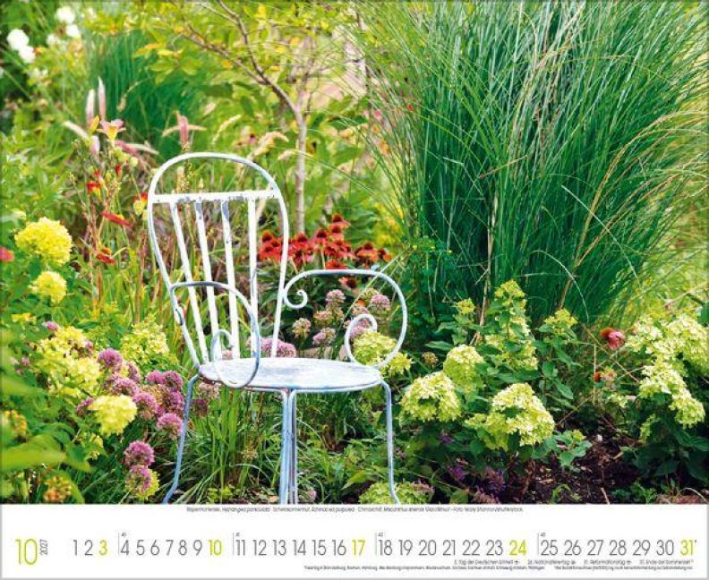 InsideView 10