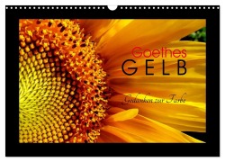 Goethes Gelb Gedanken zur Farbe (Wandkalender 2026 DIN A3 quer), CALVENDO Monatskalender - Lucy M. Laube