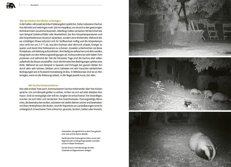 InsideView 3