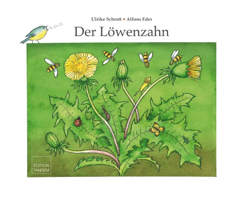 Der Löwenzahn - Ulrike Schrott