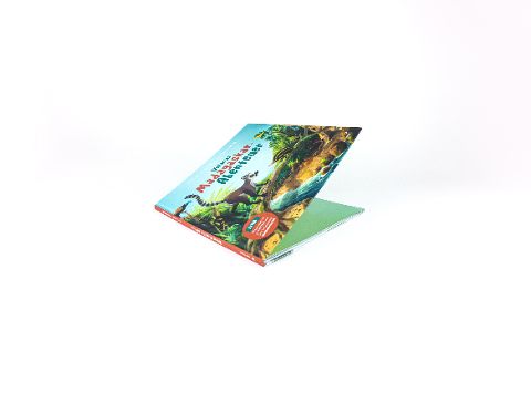 InsideView 6