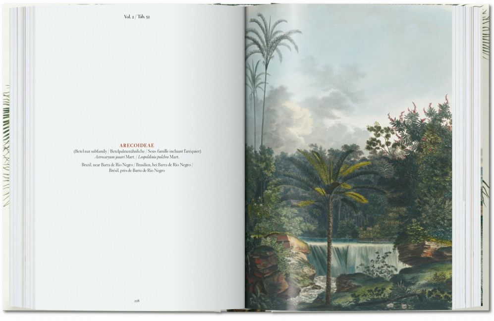 InsideView 5