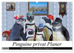 Cover-Bild zum Titel 'Pinguine privat Planer (Wandkalender 2026 DIN A2 quer), CALVENDO Monatskalender' von 'Garrulus Glandarius'