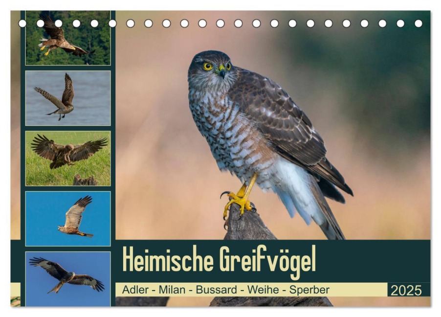 Heimische GREIFVÖGEL Adler Milan Bussard Weihe Sperber (Tischkalender 2025 DIN A5 quer), CALVENDO Monatskalender - Arne Wünsche