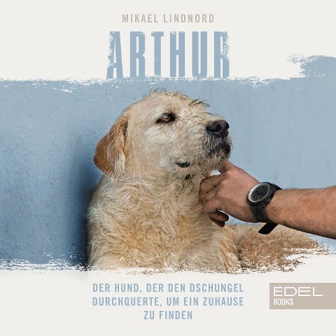 Arthur - Mikael Lindnord