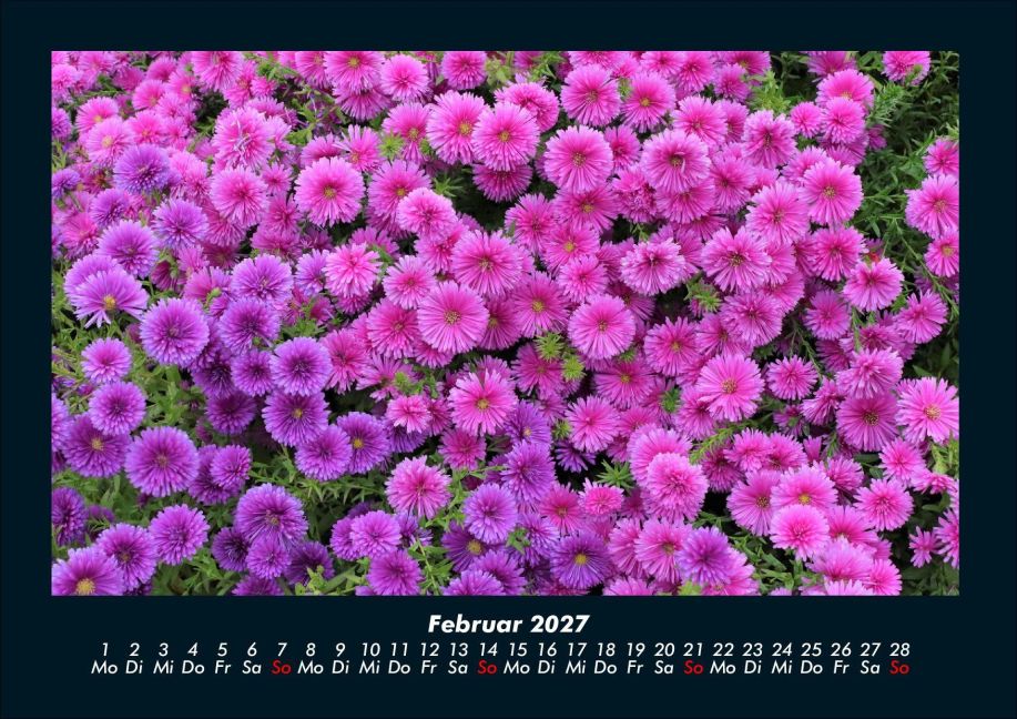 InsideView 6