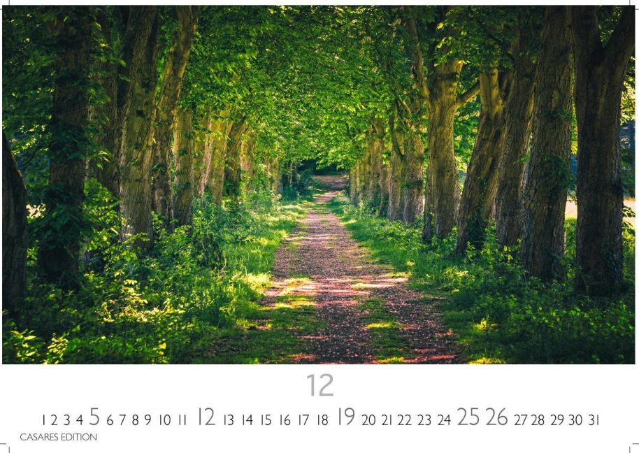 InsideView 12