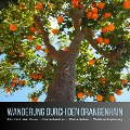 Cover-Bild zum Titel 'Wanderung durch den Orangenhain: Ein Fest der Sinne - Fantasiereise - Mentalreise - Geführte Tiefenentspannung - Gedankenreise' von 'Patrick Lynen'