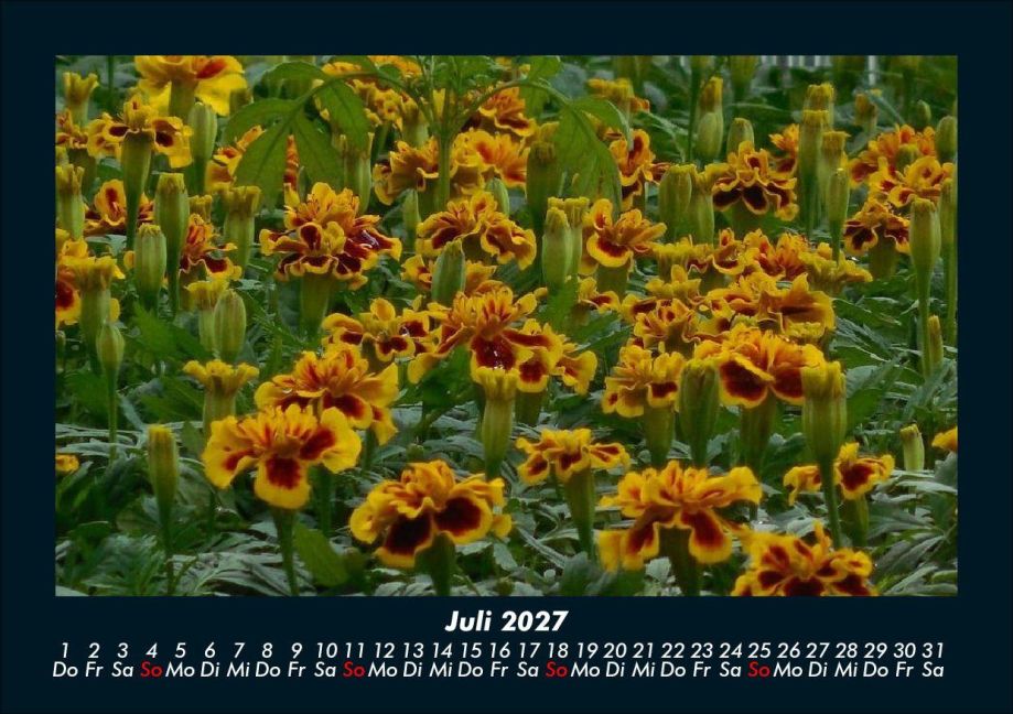 InsideView 11