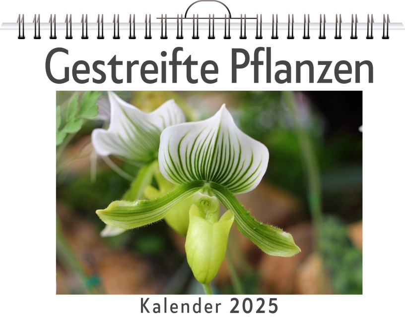 Gestreifte Pflanzen - (Wandkalender 2025, Kalender DIN A4 quer, Monatskalender im Querformat mit Kalendarium, das perfekte Geschenk) - Isabella Frank