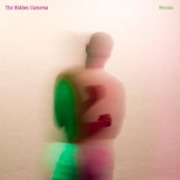 Cover-Bild zum Titel 'Bronto (Digipak)' von 'The Hidden Cameras'
