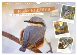 Flinke Kleiber (Wandkalender 2026 DIN A4 quer), CALVENDO Monatskalender - Sabine Löwer