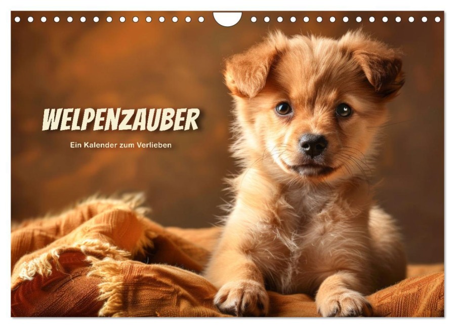 Welpenzauber: Ein Kalender zum Verlieben (Wandkalender 2026 DIN A4 quer), CALVENDO Monatskalender - Peter R. Stuhlmann