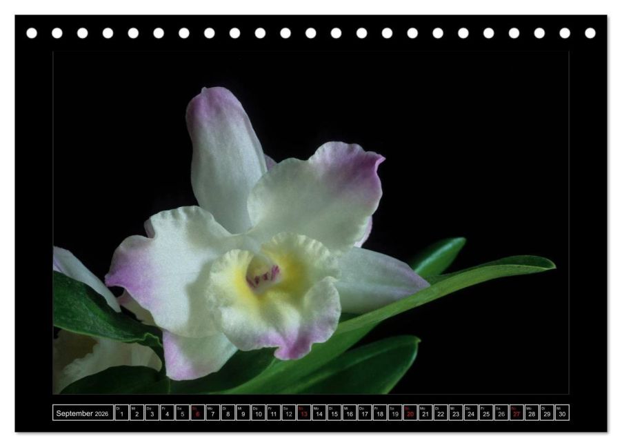 InsideView 14
