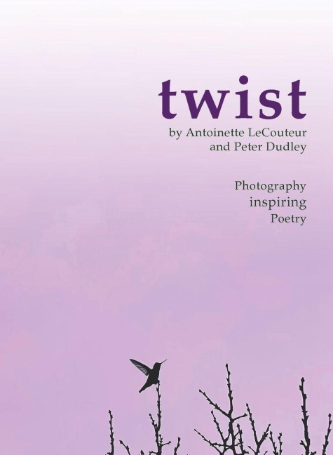 twist - Peter J Dudley