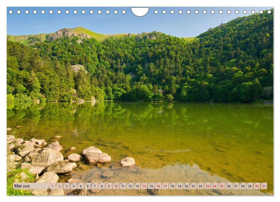 InsideView 10
