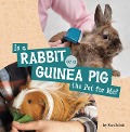 Is a Rabbit or a Guinea Pig the Pet for Me? - Mari Schuh